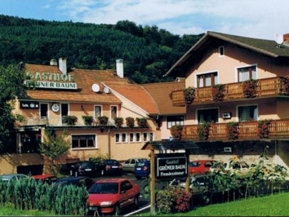 Foto: Gr&amp;uuml;ner Baum 